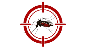 dengue