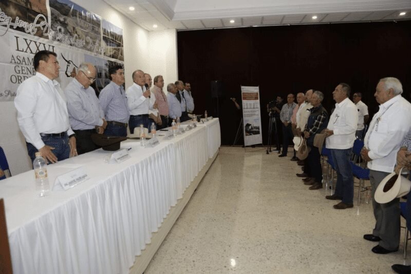 JMCL Unión Ganadera 270419 (1)