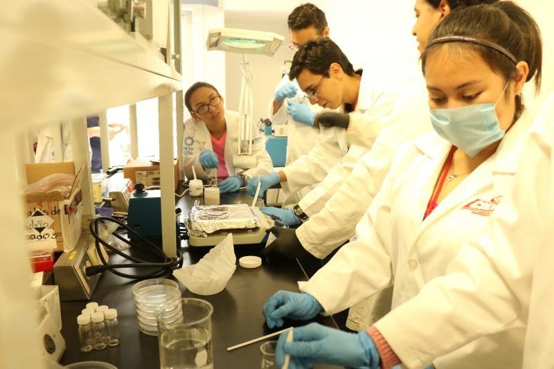 Liga de la ciencia 5}