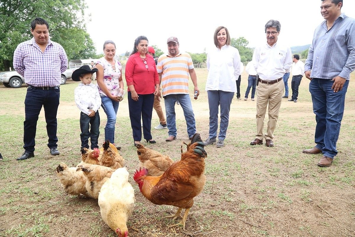 14DIFGiraGuadalcazar140619(2)