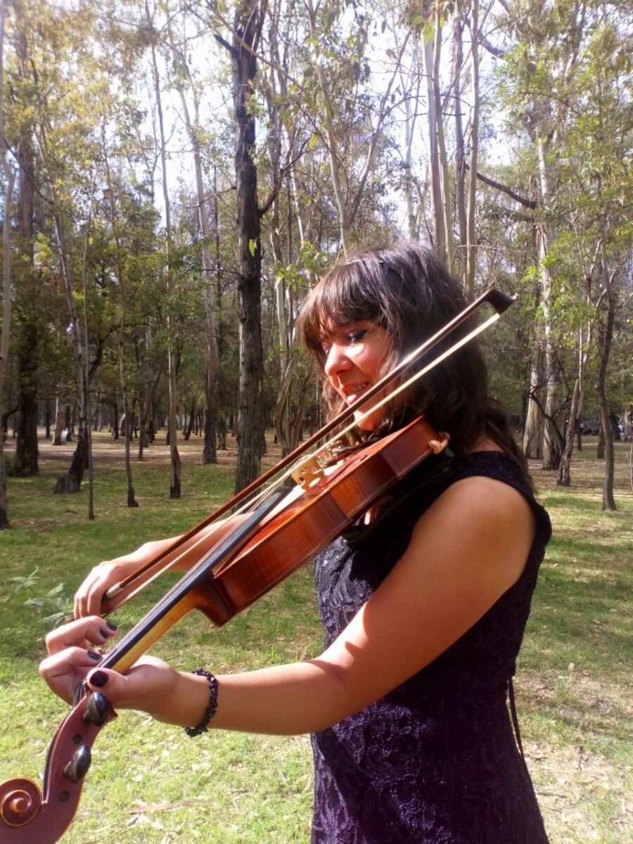 5 violinista