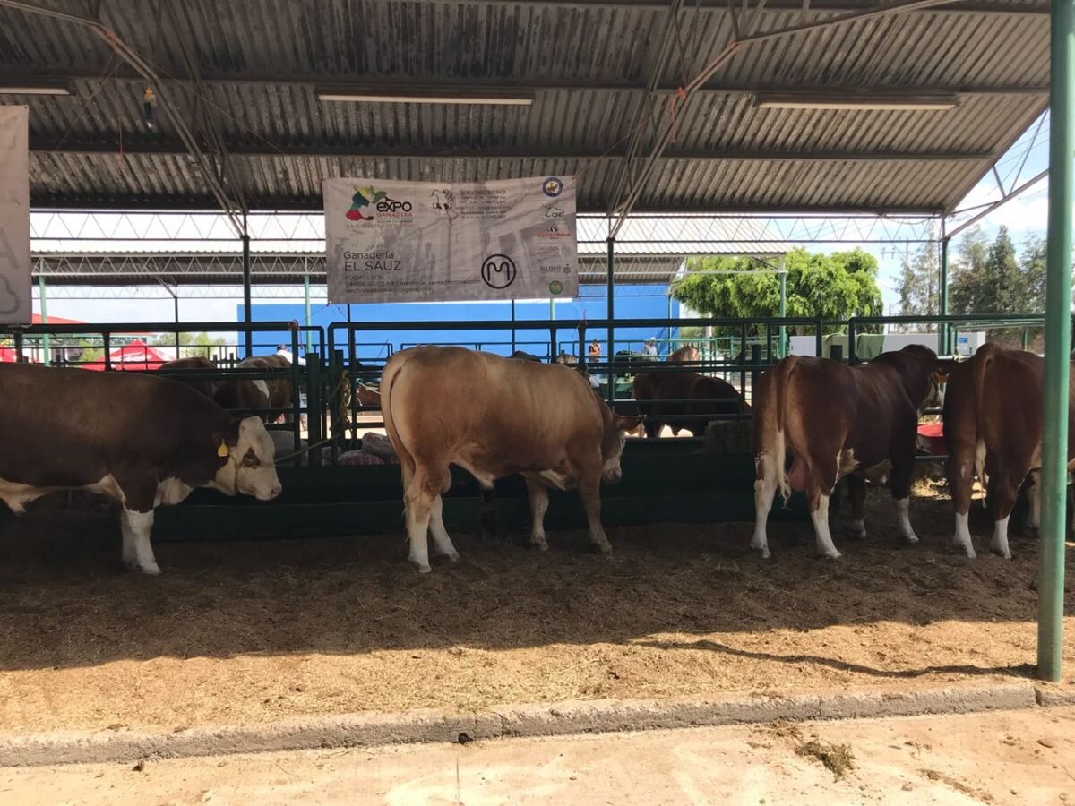 SEDARH invierte 73.3 MDP en el programa de mejoramiento genético EF71DA62-4001-4812-8B87-141AD9E4712D