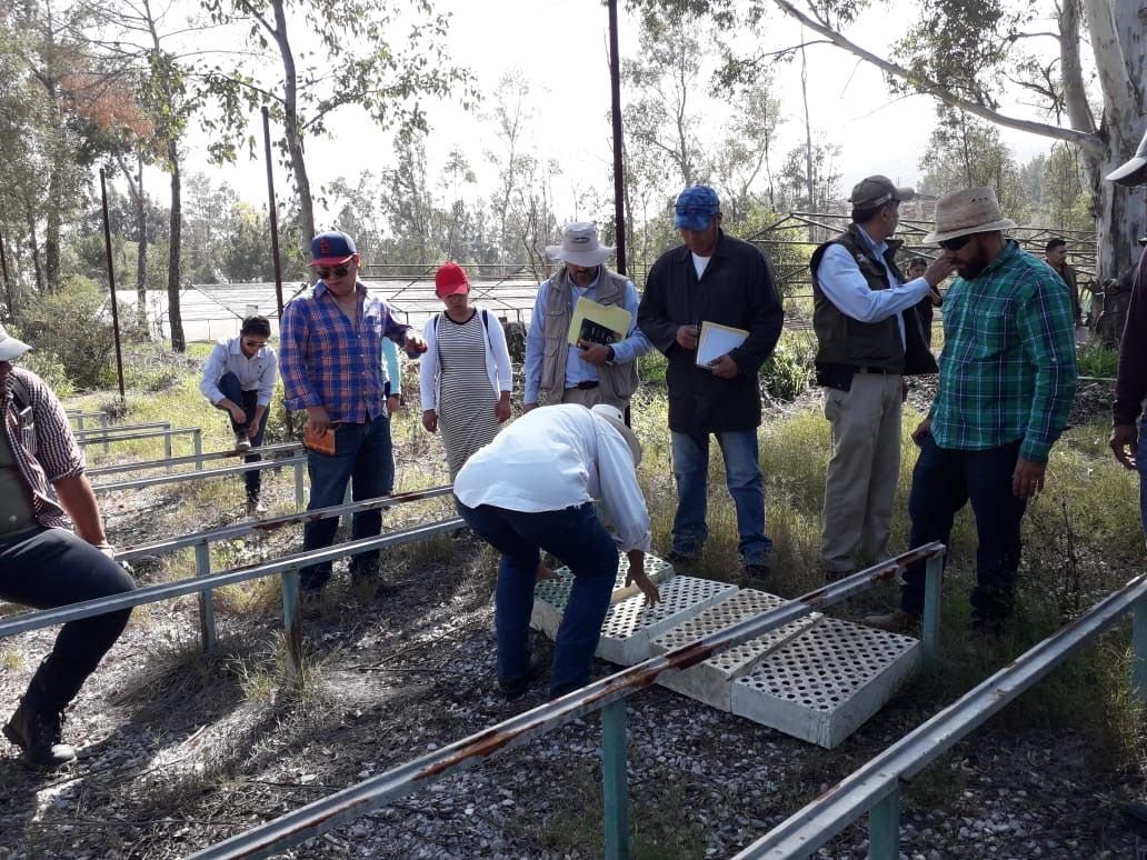 Capacita a ejidatarios y a personal de dependencias ambientales en construcción de viveros y producción de planta 23SEGAM CURSO 231119 (4)