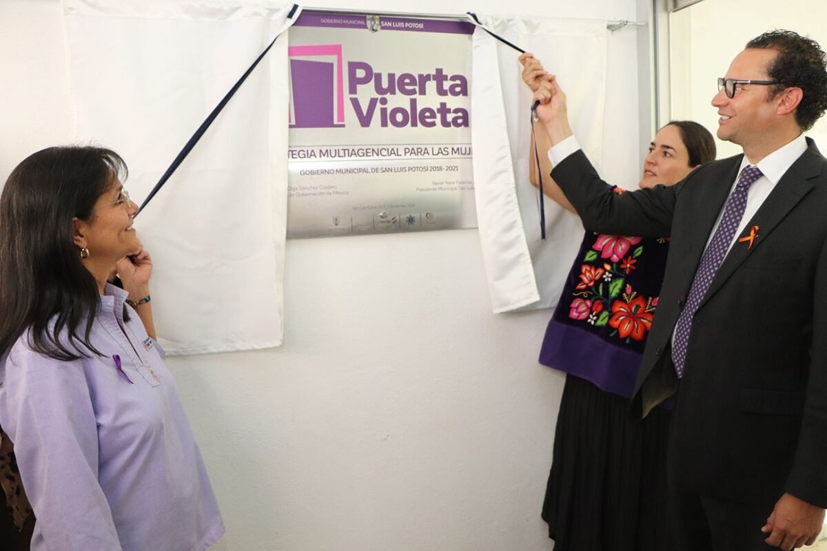 25PUERTA VIOLETA 3
