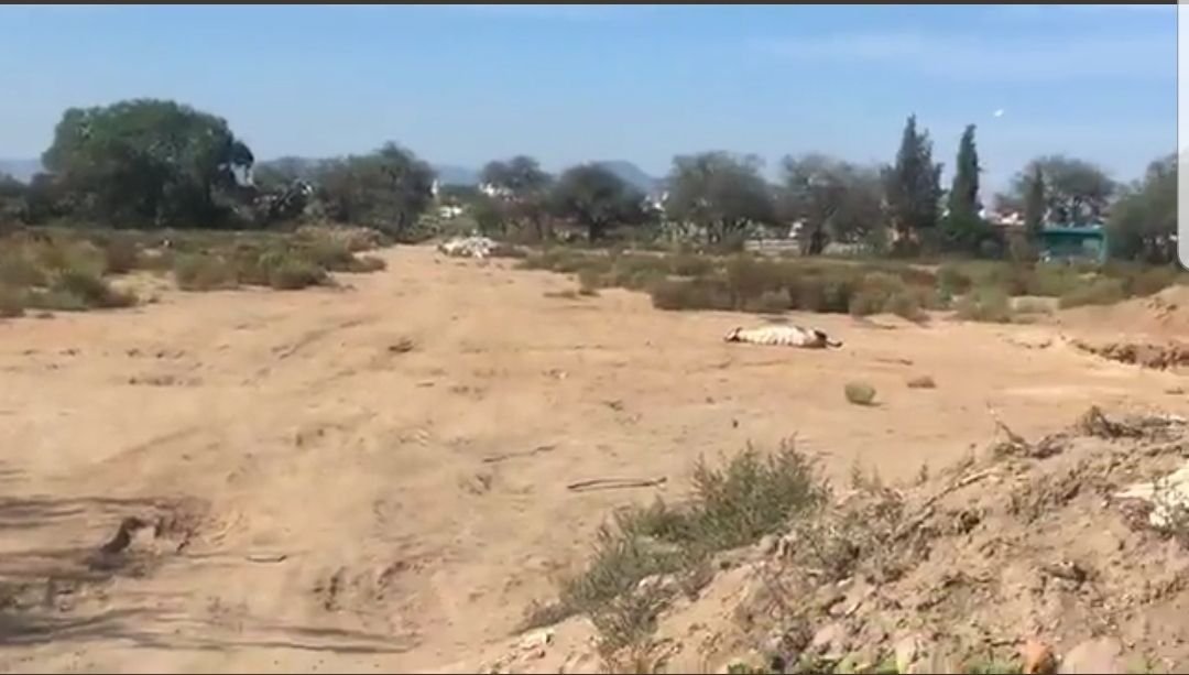 Hallan cadáver en Los Vargas 4B43FBD4-A1E5-47ED-A710-E5DFC1E2A39C