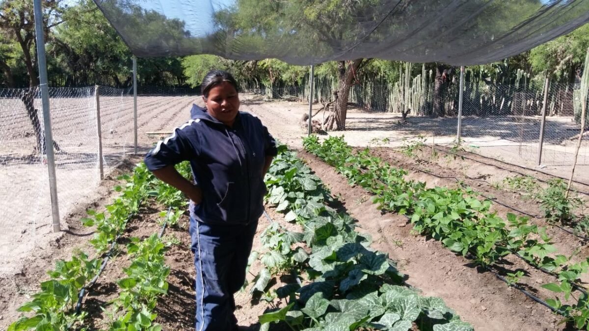 7SEDARH Sanidad Vegetal 070120 (2)