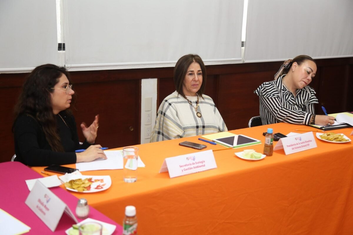 Más de 63 mil pesos recaudados con la campaña "Ayuda más donando que tirado" 21DIF Campaña 210220 (1)