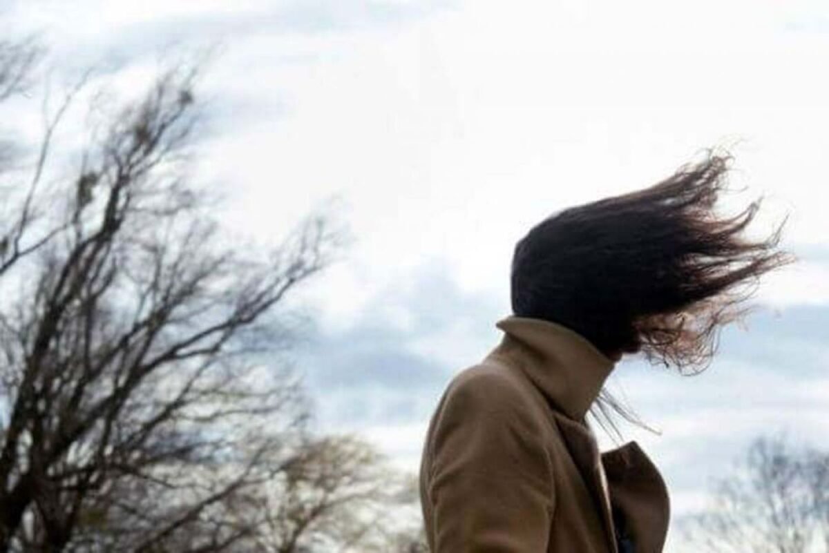 PC municipal otorgó 61 servicios por daños ocasionados por fuertes vientos 6 vientos