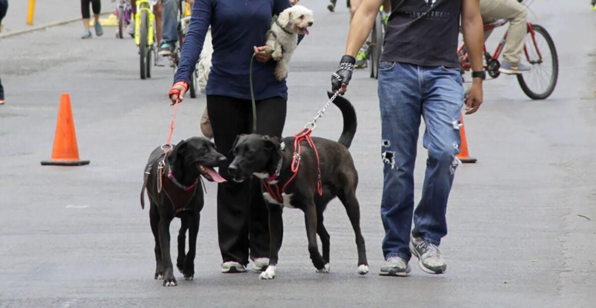 25 salen de sus casas