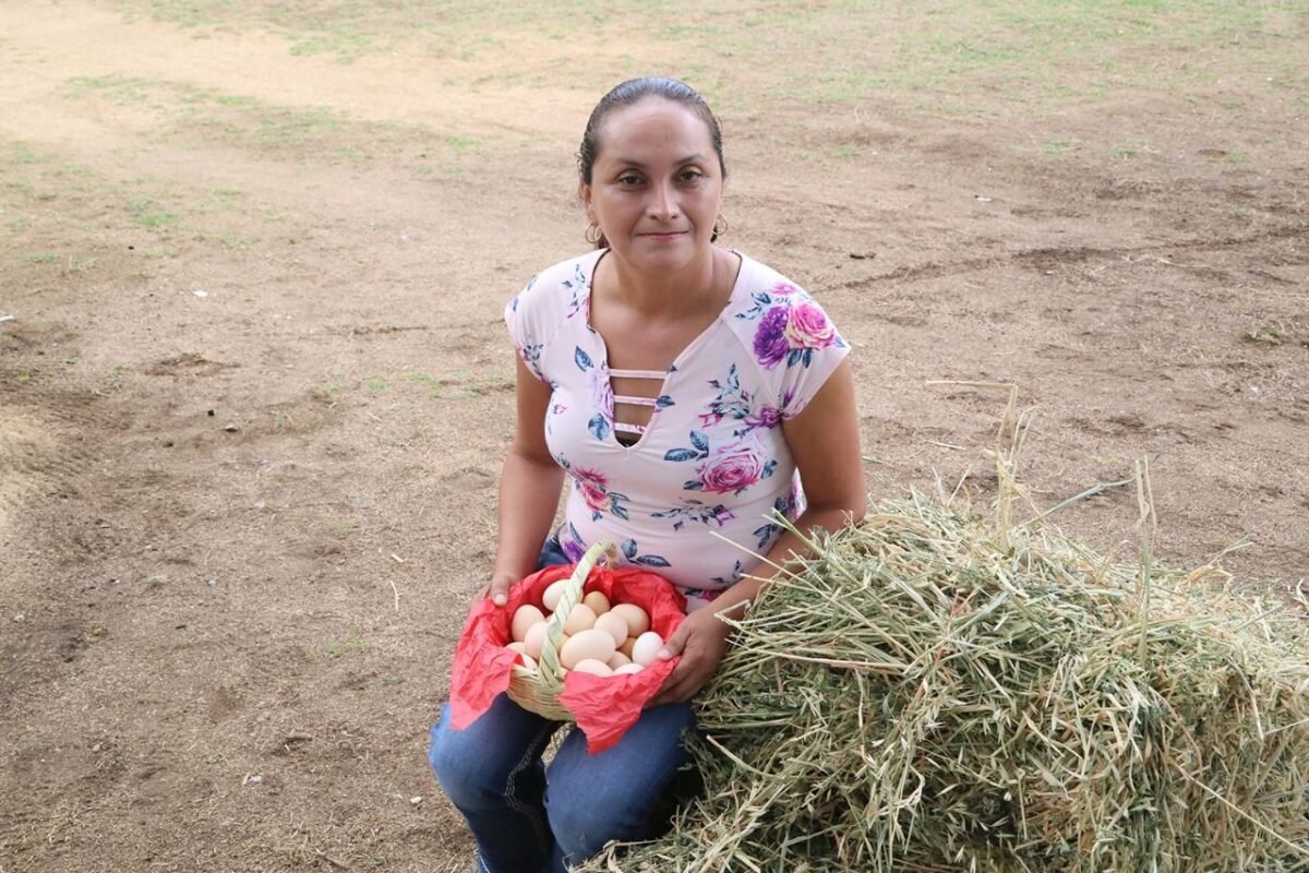 26DIF Granjas Avícolas 260420 (1)