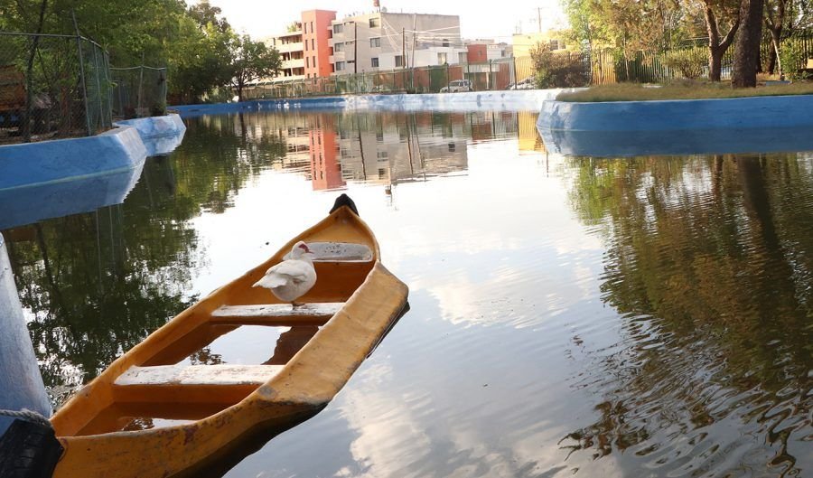 Iniciará rehabilitación del lago del Parque de Morales SE DARA MANTENIMIENTO AL LAGO DE MORALES 3