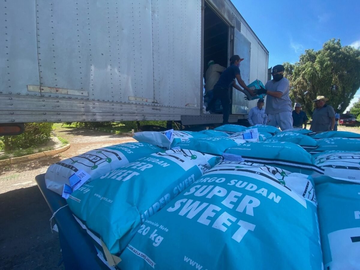 17SEDARH Semillas 170920 (2)