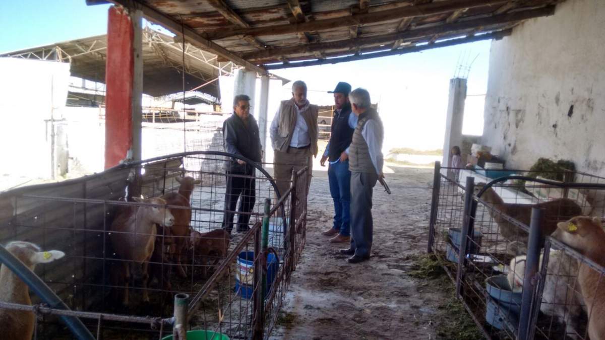 Comando armado irrumpe en rancho Tamariz de diputado de Morena; se llevan 3  cajeros