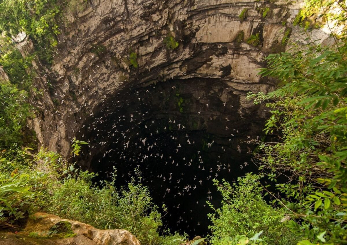 Por riesgo de contagio, recomendación de cierre en sitios turísticos continúa: SECTUR 18SECTUR Cerrados 170820 (1) (1)