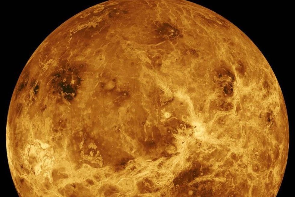 Científicos Descubren Señales De Vida ¡en Venus El Portal Una Nueva Era