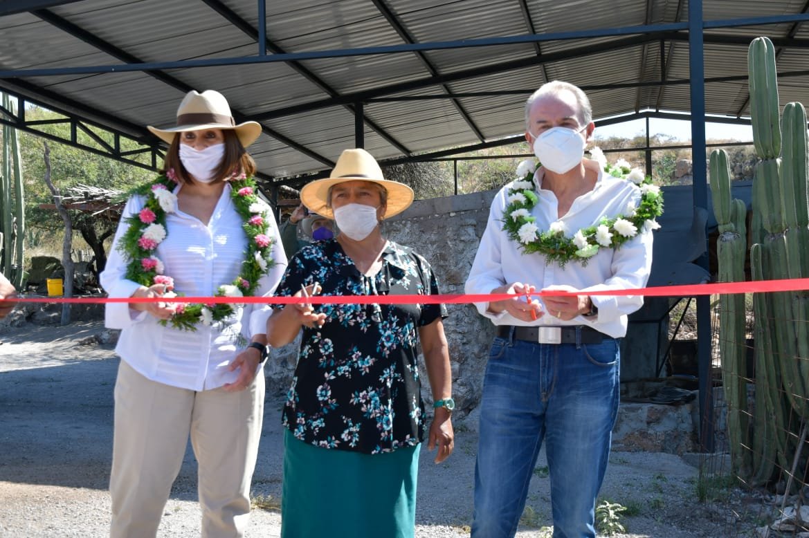 25Campanilla 241020 (3)