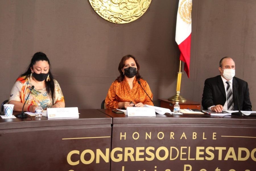 Comparecencia SEDARH (1)