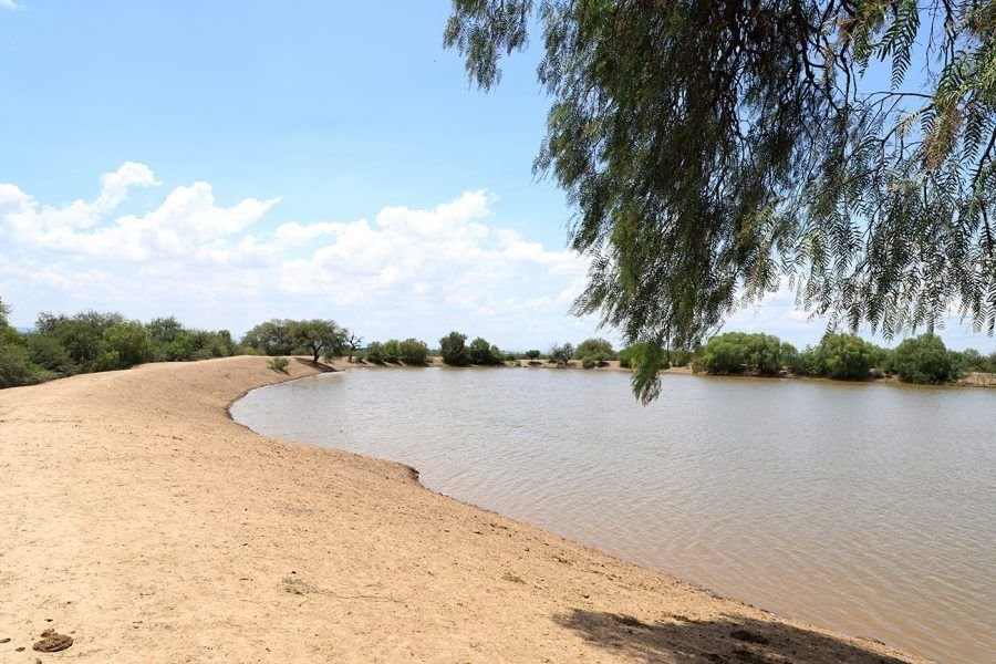 FUERTE IMPULSO DEL AYUNTAMIENTO AL DESARROLLO RURAL2