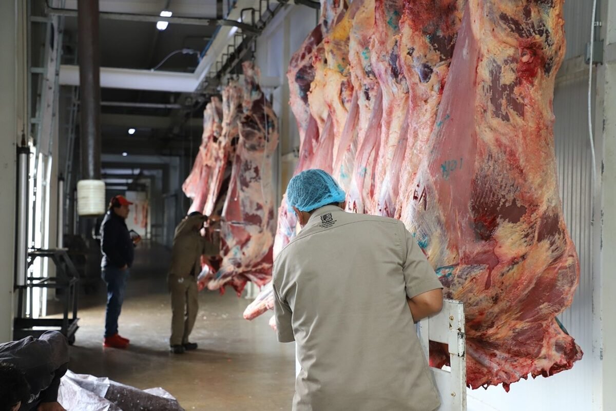 7CONSOLIDARÁ EN BREVE, CERTIFICACIÓN TIF DEL RASTRO” ALCALDE ALFREDO LUJAMBIO 3