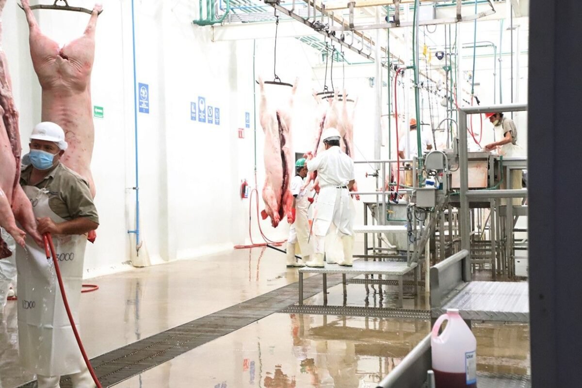 25RASTRO PEÑASCO 2