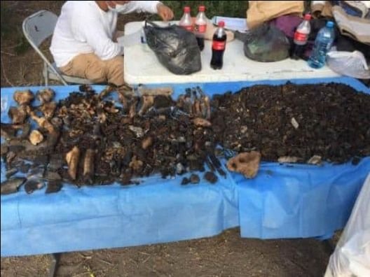 17 hornos ,acidos y exterminio