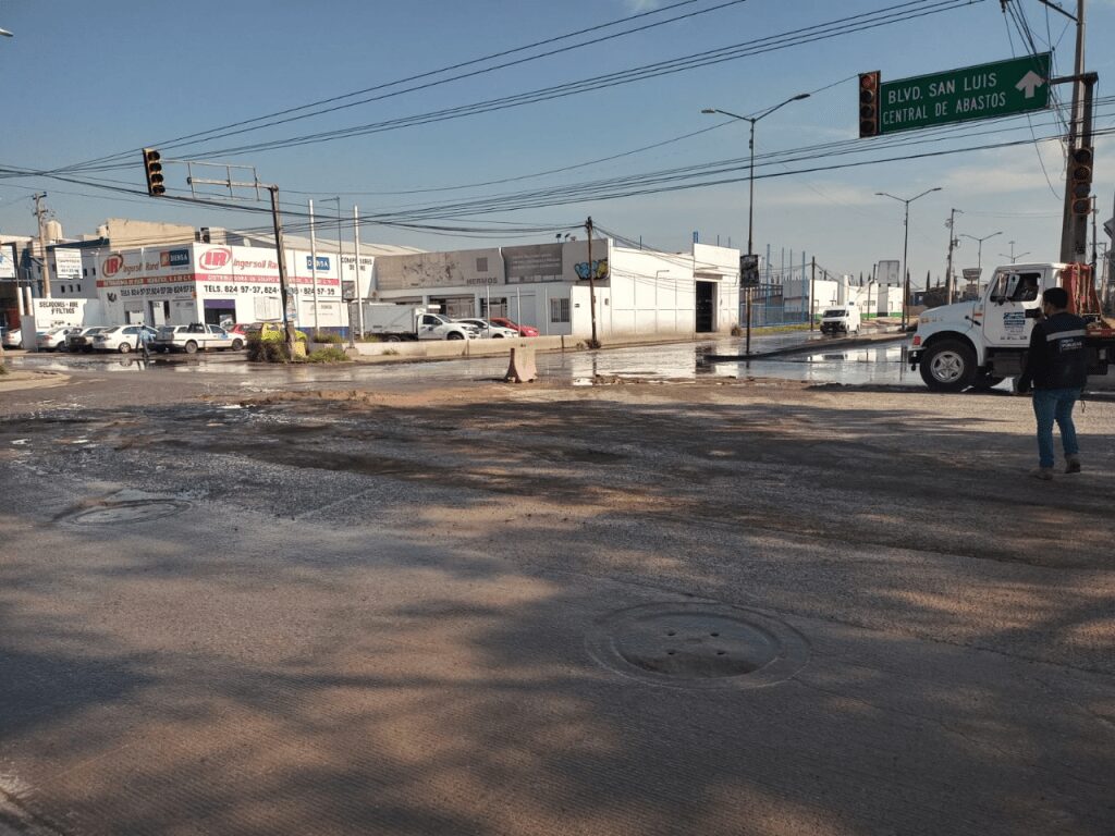 baches
