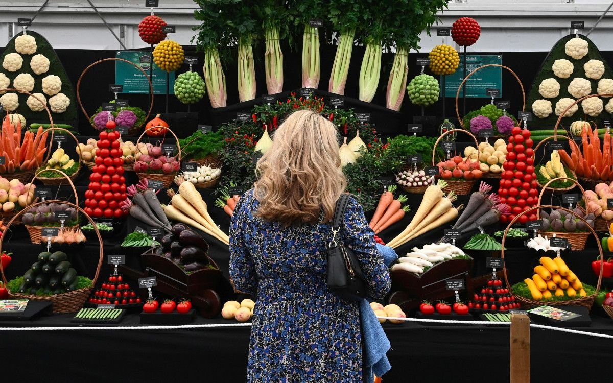 Urgen a reducir el consumo mundial de carne dia-mundial-de-la-alimentacion-16102021