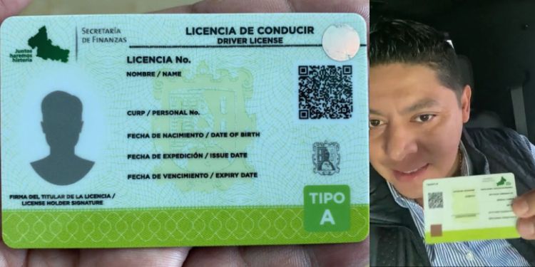 licencias gratis-gallardo