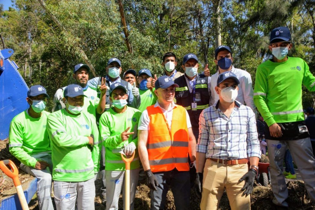 reforestación galindo
