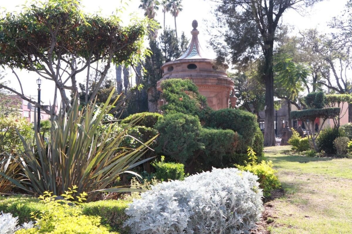 WhatsApp-Image-2021-12-01-at-12.04.43-PM