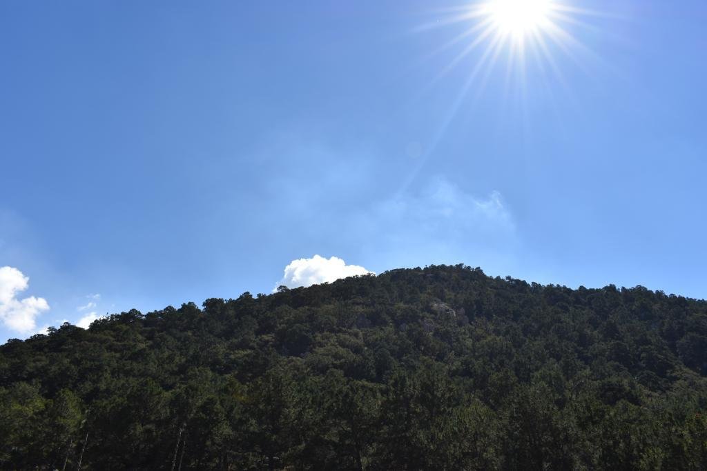 Sierra de San Miguelito se convierte en área natural protegida WhatsApp Image 2021-12-14 at 2.58.49 PM (1)