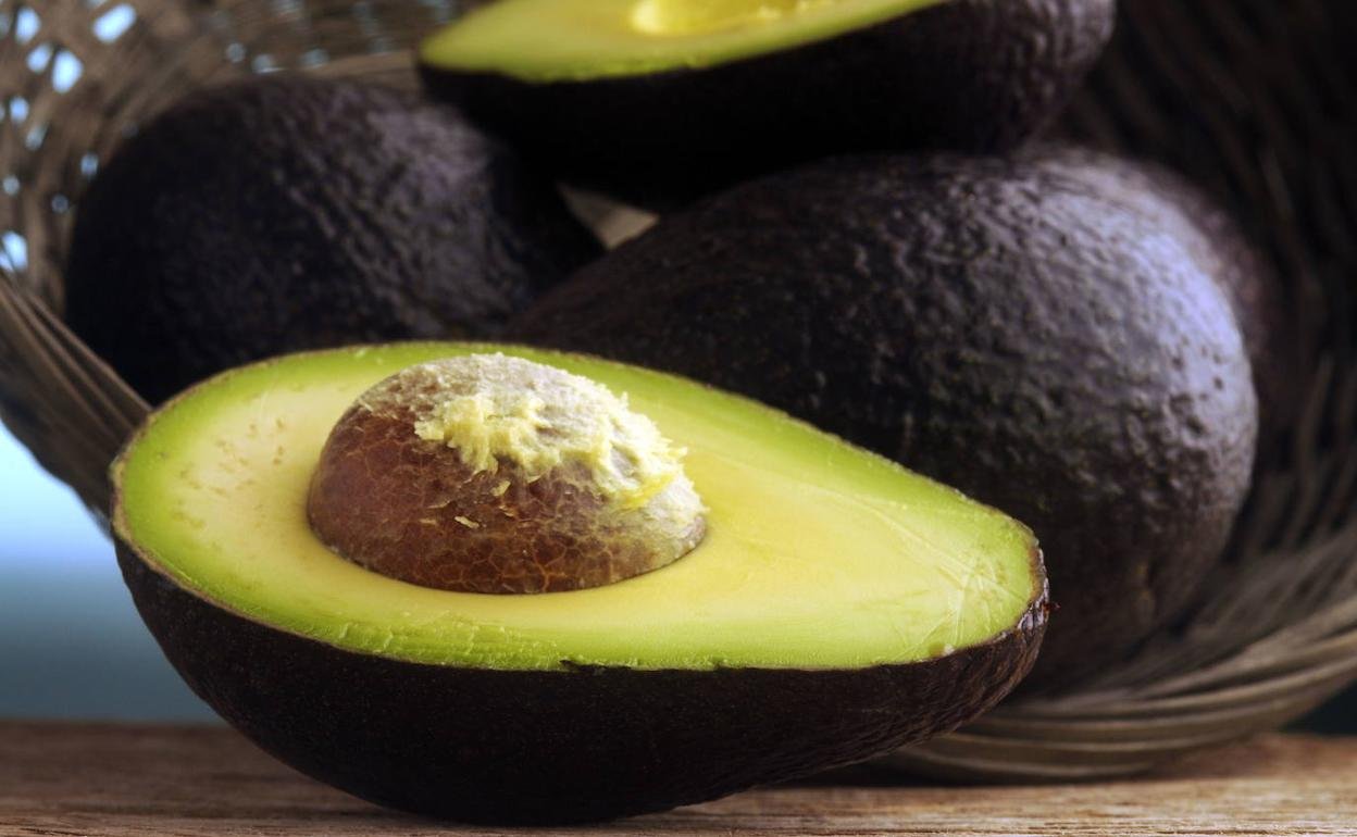 Jalisco se unirá a Michoacán para exportar aguacate a EEUU ag