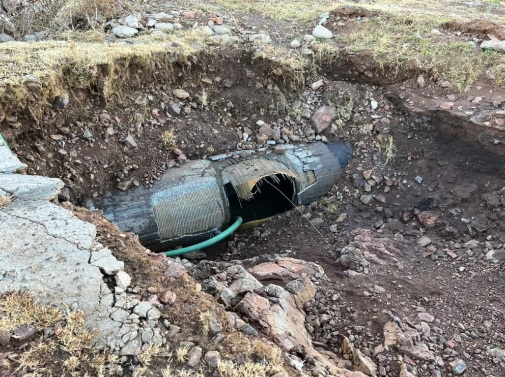 WhatsApp Image 2022-01-25 at 10.36.38 AM