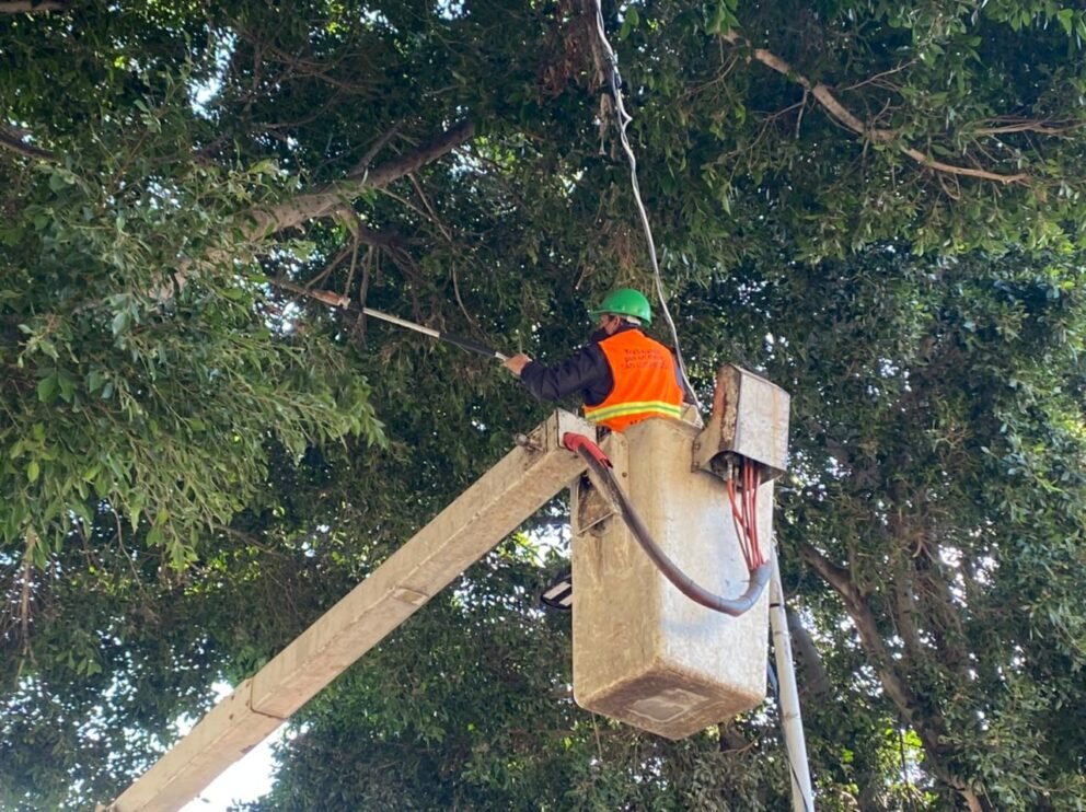 El primer Domingo de pilas de 2022 mejoró el Jardín del Barrio de San Sebastián san sebastian-1