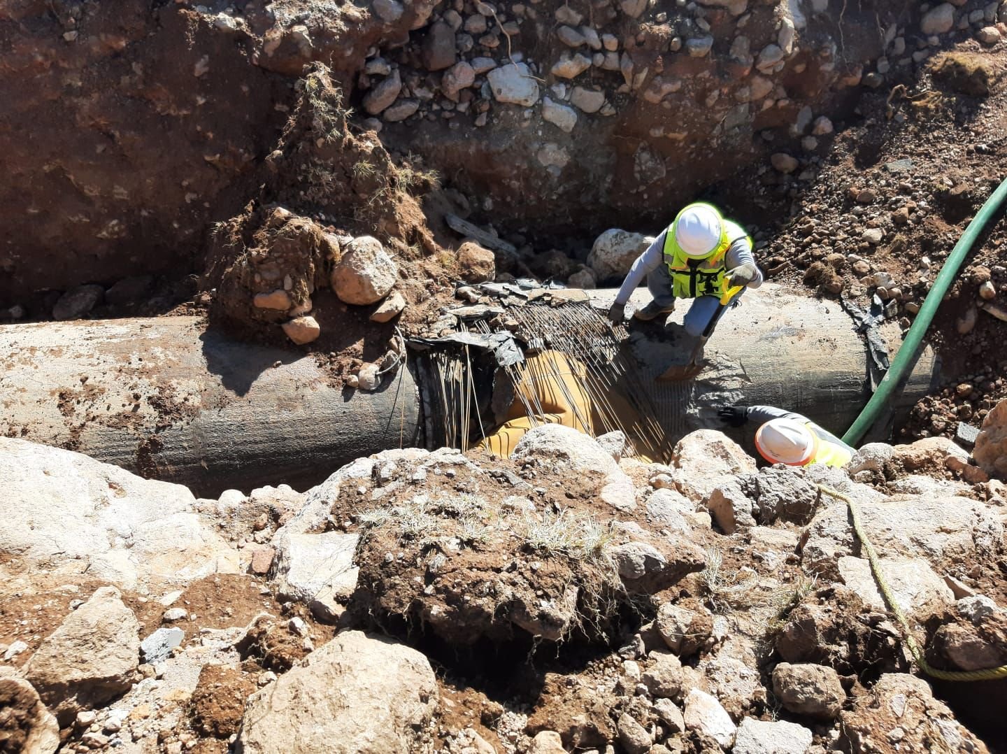 WhatsApp Image 2022-04-11 at 11.13.43 AM