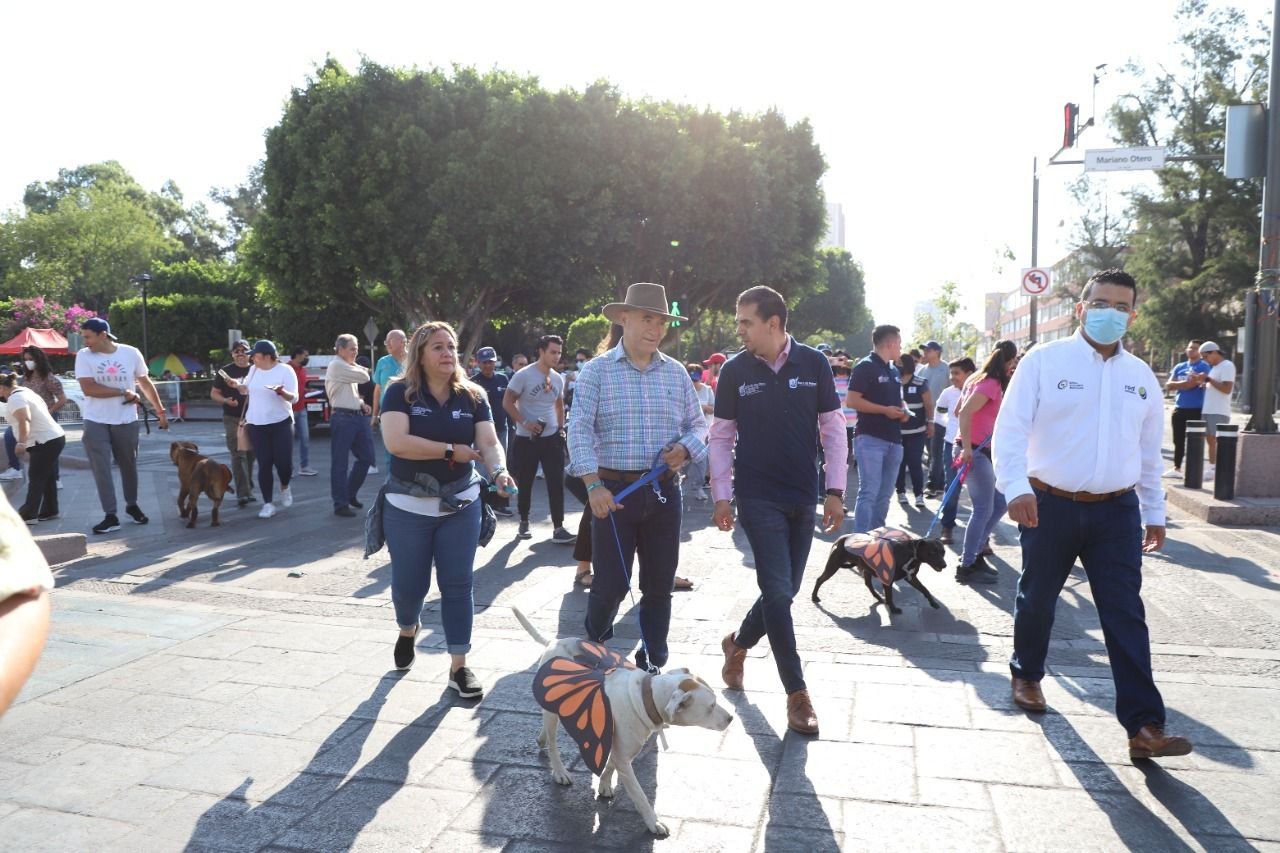 Arranca Ayuntamiento de la Capital, programas dirigidos a la adopción responsable de mascotas WhatsApp Image 2022-06-05 at 6.50.41 PM
