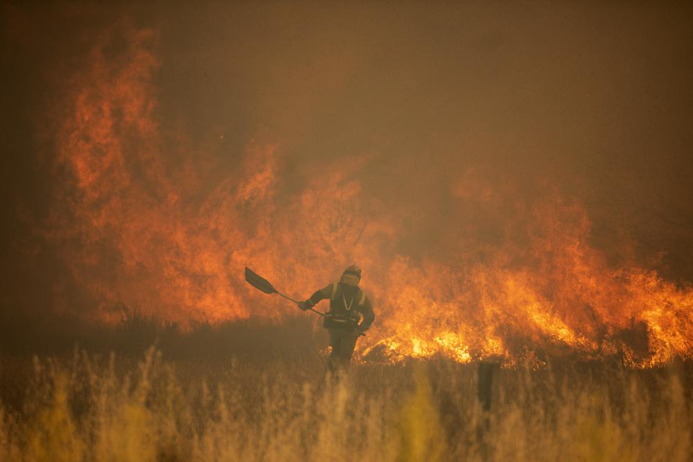 España y Alemania luchan contra los incendios forestales en medio de una  inusual ola de calor (fotos)