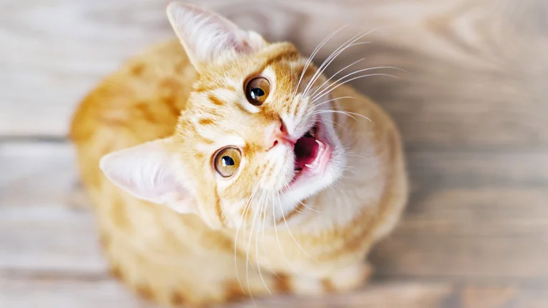 TCEDV3DMBVGEJKGXVUDZOJPYZE