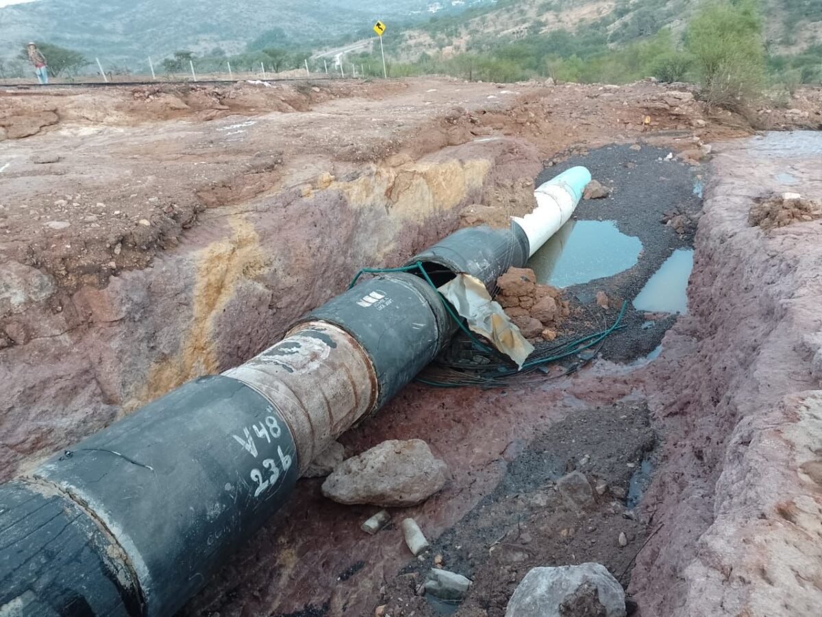 WhatsApp Image 2022-07-26 at 1.47.58 PM