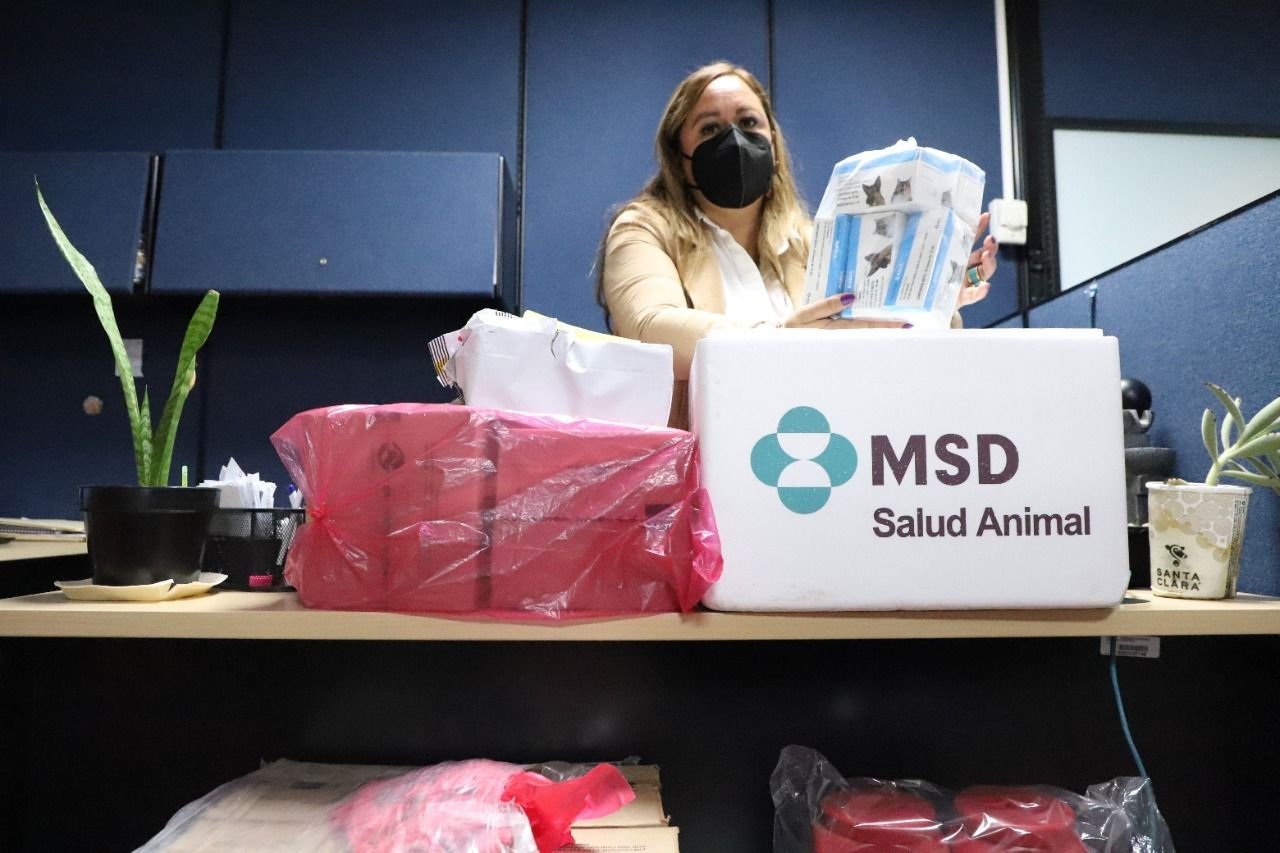 WhatsApp Image 2022-08-19 at 3.11.25 PM