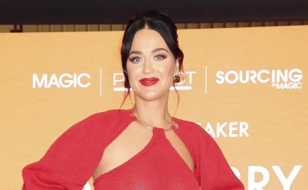portada_katy_perry_vestido_tejido_traslucido