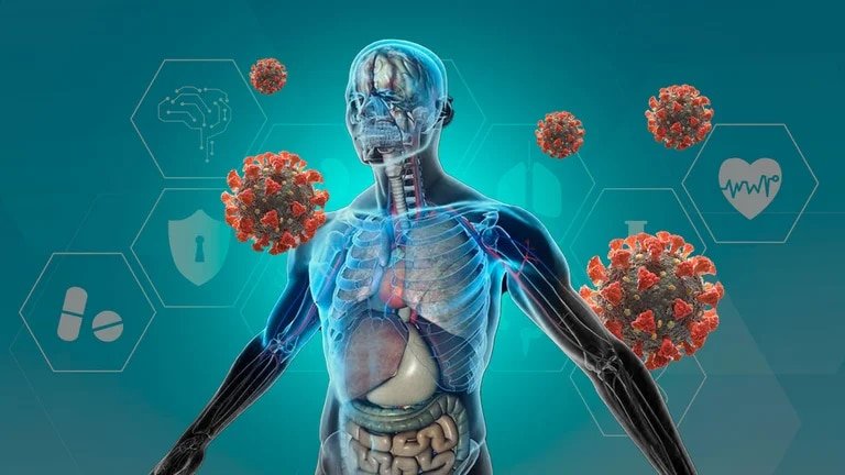 2QSBVZNCH5E5NI52CCDSNXROOI