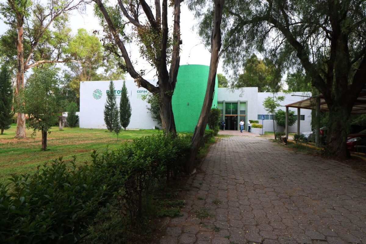 WhatsApp Image 2022-11-22 at 12.14.51 PM