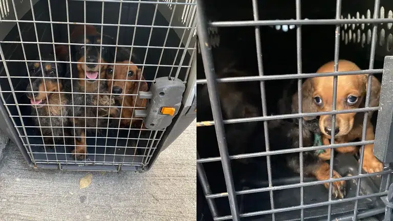 AZSO3CXDERCQXGB7USHL7MLFNA