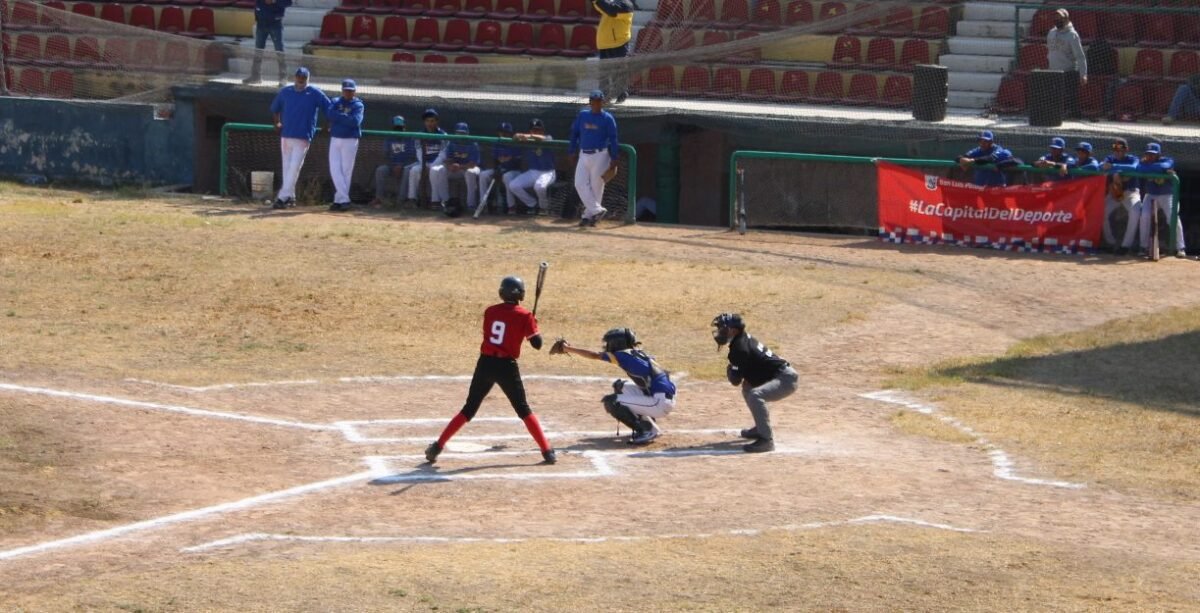 WhatsApp Image 2022-12-26 at 1.52.19 PM (1)