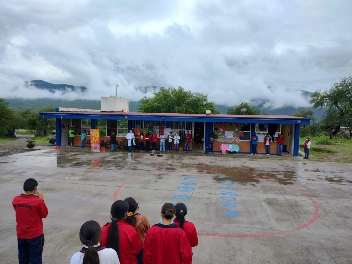 WhatsApp Image 2023-01-09 at 12.06.08 PM