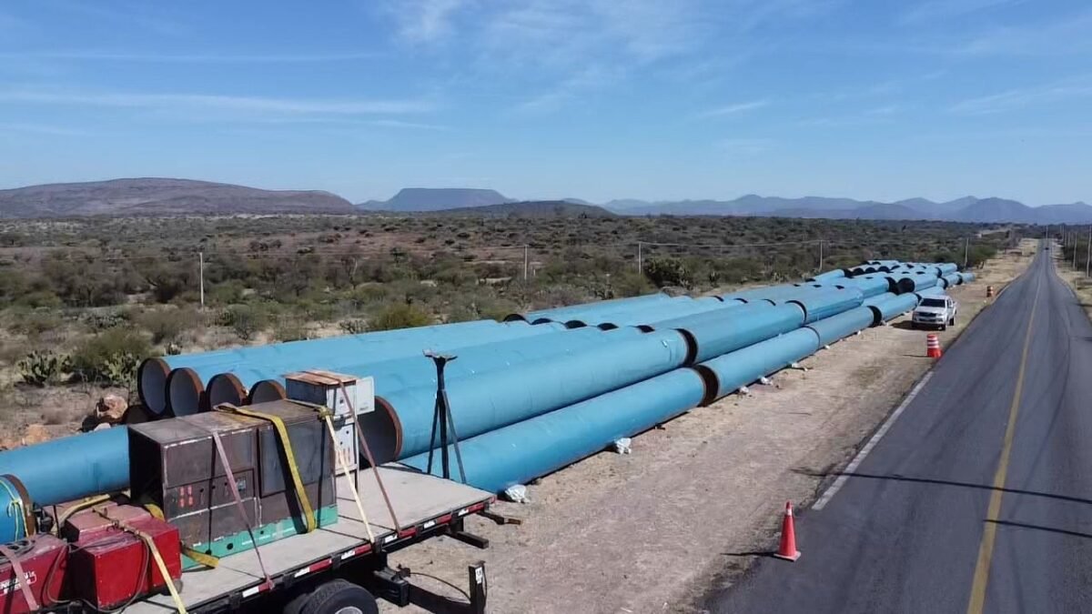 WhatsApp Image 2023-01-26 at 2.57.16 PM (1)