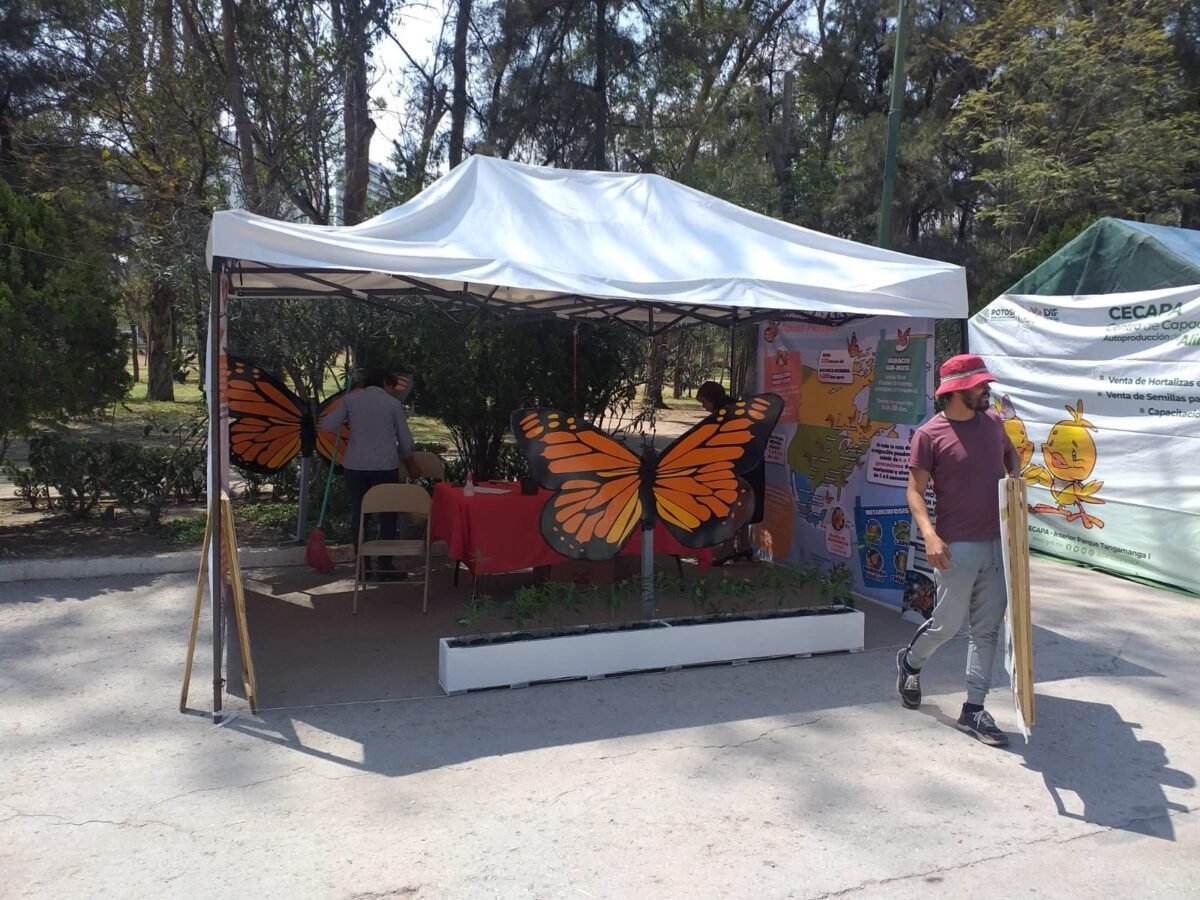 El Gobierno de la Capital del Sí concientiza y promueve acciones a favor del medio ambiente WhatsApp Image 2023-03-20 at 12.39.35 PM