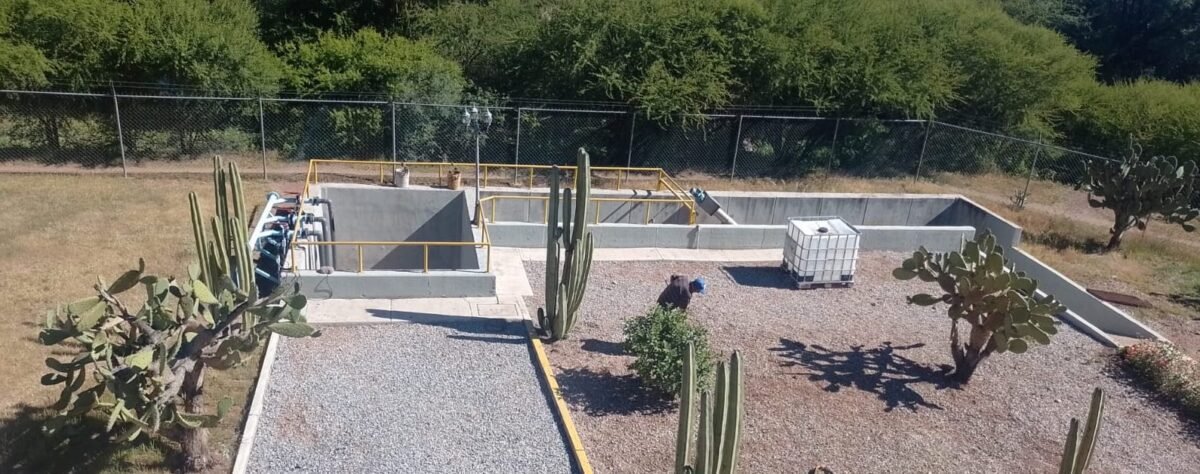 WhatsApp Image 2023-04-05 at 1.03.36 PM