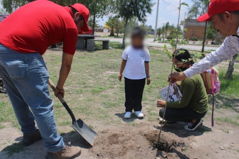 Gobierno de la Capital reitera la invitación a los potosinos para sumarse al programa Pulmones Urbanos arbol-1